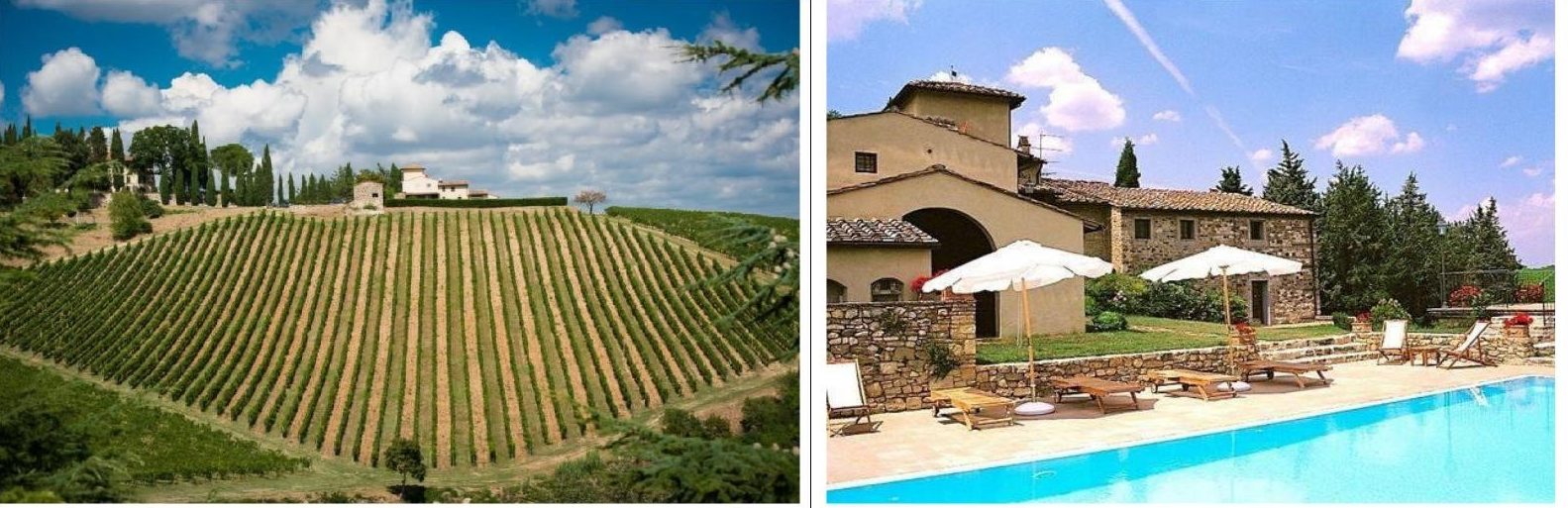Vendemmia в Тоскане